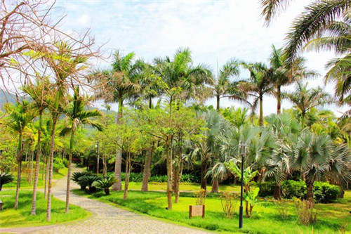 加盟适绿轻食一月可以挣多少钱，加盟适绿轻食有哪些优势