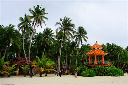 钟祥市鸭迷鸭蜜泰式烤鸭饭加盟揭秘赚钱商机与经营策略