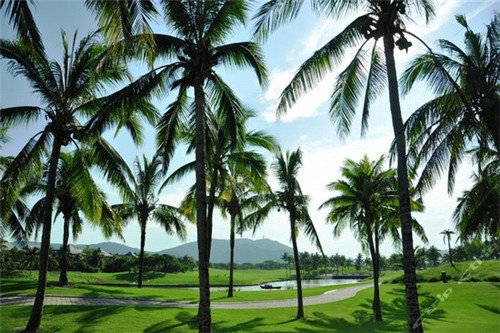 肇庆市创业仿石涂料加盟火爆项目有哪些