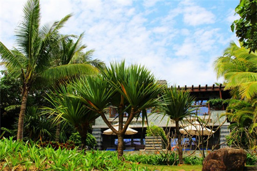 2025竹炭包加盟店什么项目风险低，竹炭包是干啥的