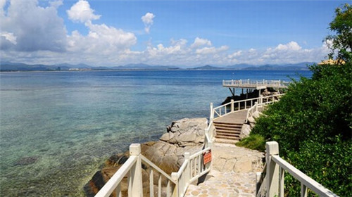 连体泳衣加盟火爆项目有哪些（连体泳衣叫什么名字）