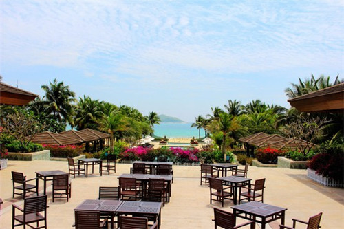 重返原始在线观看（重返原始世界）