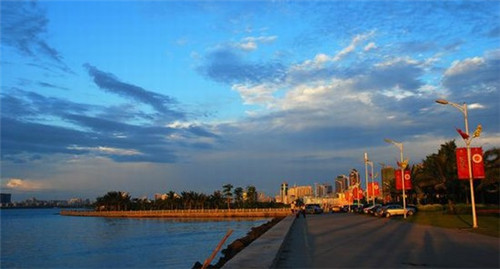 用海星给公司起名好吗（海星名称大全）