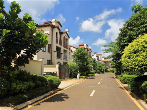 电影背景墙上的歌叫什么（电影里的背景）