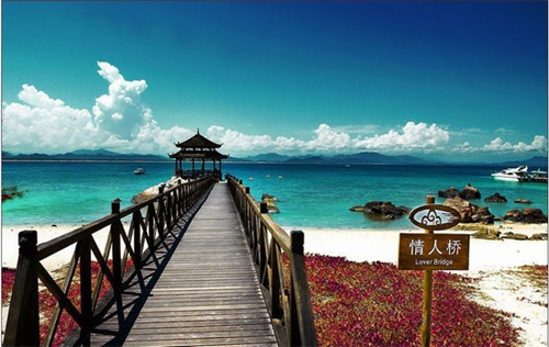 什么叫物业首问责任制（物业第一责任人是谁）