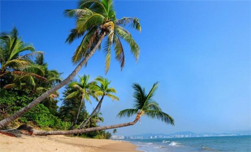 藤字公司起名怎么起的好听（带滕字的公司名称）