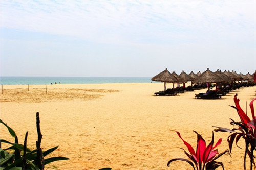 李兴浩是如何创立志高品牌的（志高老板李兴浩）