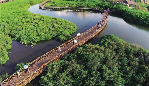 抖音和抖音火山版能分开吗安全吗（抖音和抖音火山版能分开吗安全吗是真的吗）